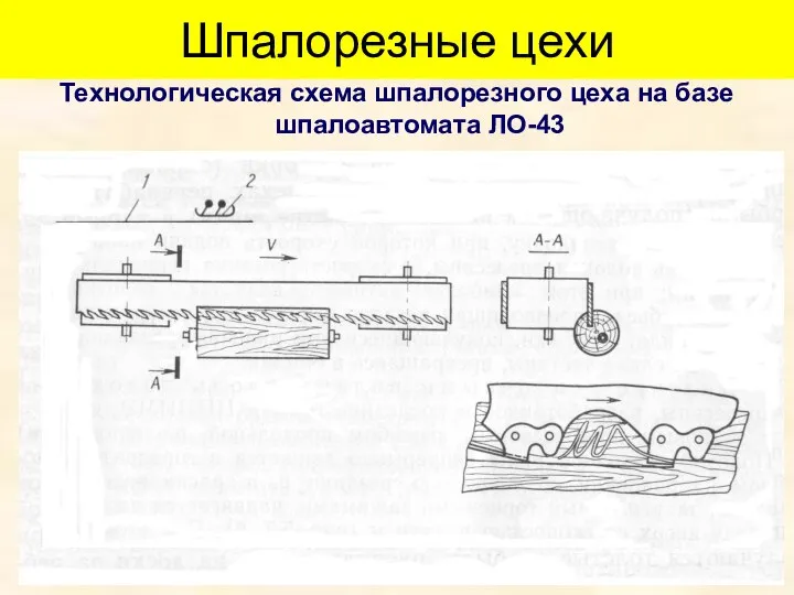 Шпалорезные цехи Технологическая схема шпалорезного цеха на базе шпалоавтомата ЛО-43