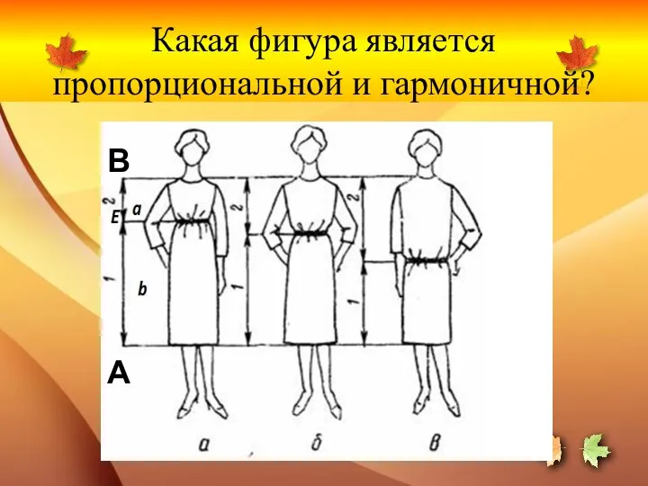 Какая фигура является пропорциональной и гармоничной?