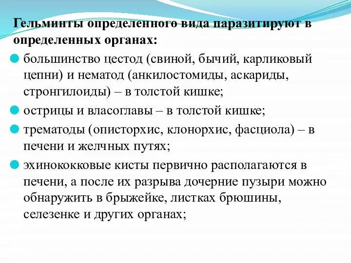 Гельминты определенного вида паразитируют в определенных органах: большинство цестод (свиной, бычий,