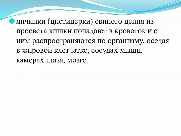 личинки (цистицерки) свиного цепня из просвета кишки попадают в кровоток и