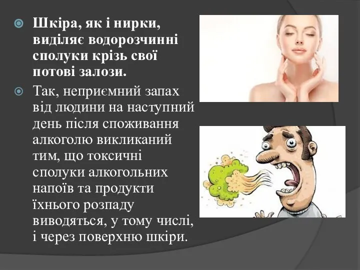 Шкіра, як і нирки, виділяє водорозчинні сполуки крізь свої потові залози.