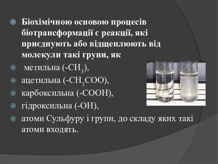 Біохімічною основою процесів біотрансформації є реакції, які приєднують або відщеплюють від