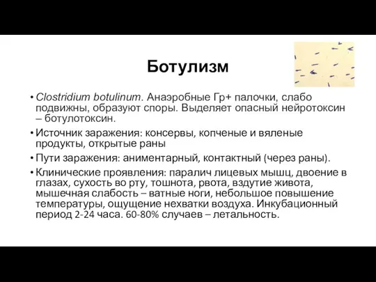 Ботулизм Clostridium botulinum. Анаэробные Гр+ палочки, слабо подвижны, образуют споры. Выделяет