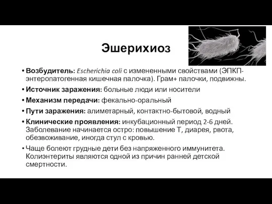 Эшерихиоз Возбудитель: Escherichia coli с измененными свойствами (ЭПКП-энтеропатогенная кишечная палочка). Грам+