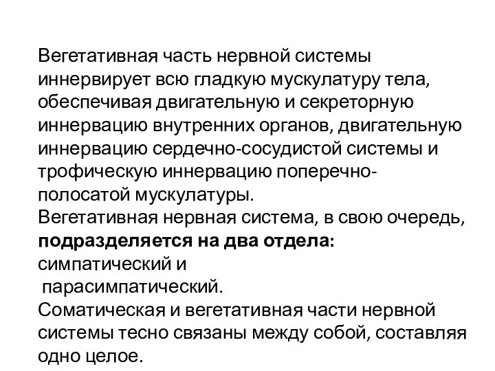 Вегетативная часть нервной системы иннервирует всю гладкую мускулатуру тела, обеспечивая двигательную