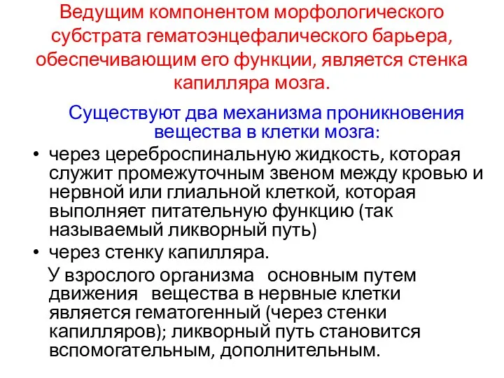 Ведущим компонентом морфологического субстрата гематоэнцефалического барьера, обеспечивающим его функции, является стенка