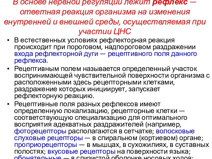 В основе нервной регуляции лежит рефлекс — ответная реакция организма на