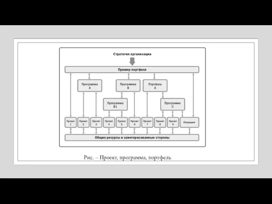 Рис. – Проект, программа, портфель