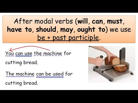 After modal verbs (will, can, must, have to, should, may, ought