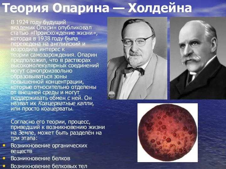 Теория Опарина — Холдейна В 1924 году будущий академик Опарин опубликовал