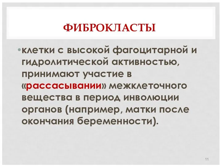 ФИБРОКЛАСТЫ клетки с высокой фагоцитарной и гидролитической активностью, принимают участие в