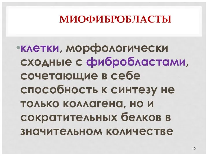 МИОФИБРОБЛАСТЫ клетки, морфологически сходные с фибробластами, сочетающие в себе способность к