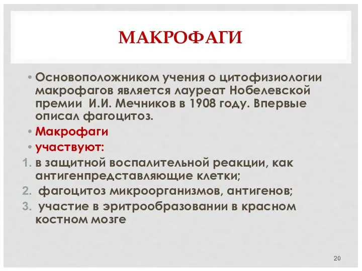 МАКРОФАГИ Основоположником учения о цитофизиологии макрофагов является лауреат Нобелевской премии И.И.