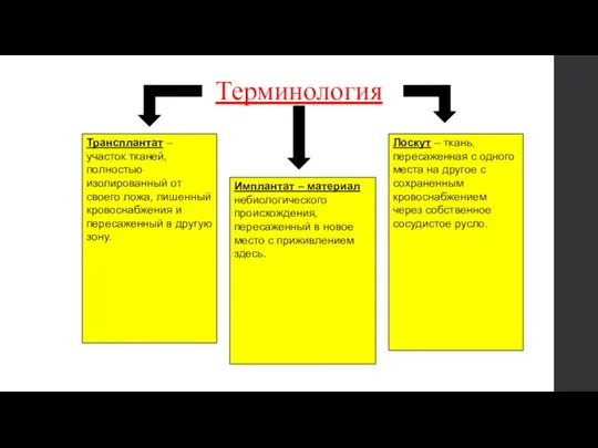 Терминология Трансплантат – участок тканей, полностью изолированный от своего ложа, лишенный