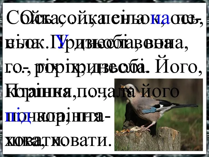 Сойка, …, пеньок, ось, сіла. Принесла, вона, …, горіх, дзьобі. Його,