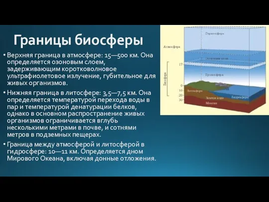 Границы биосферы Верхняя граница в атмосфере: 15—500 км. Она определяется озоновым