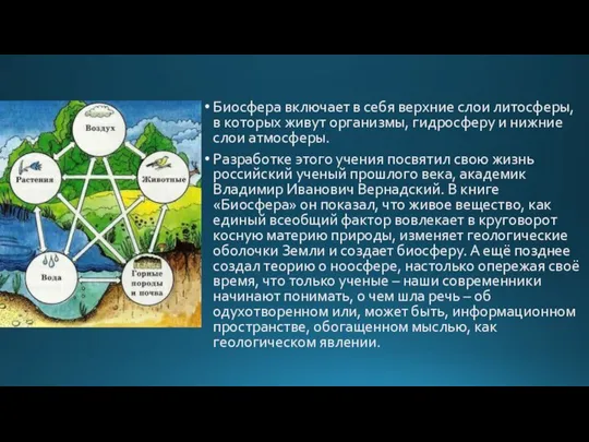 Биосфера включает в себя верхние слои литосферы, в которых живут организмы,