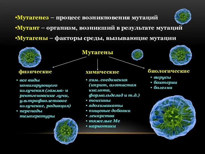 Мутагенез – процесс возникновения мутаций Мутант – организм, возникший в результате