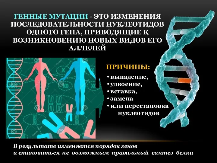 В результате изменяется порядок генов и становиться не возможным правильный синтез