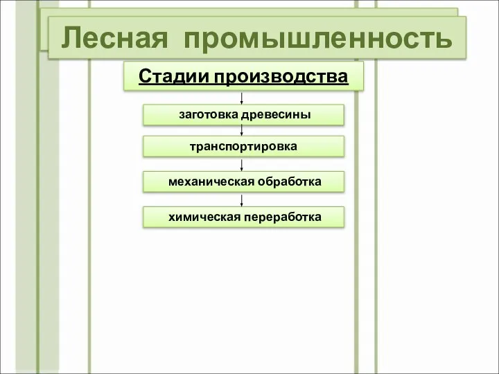 Лесная промышленность Стадии производства заготовка древесины транспортировка механическая обработка химическая переработка Лесная промышленность