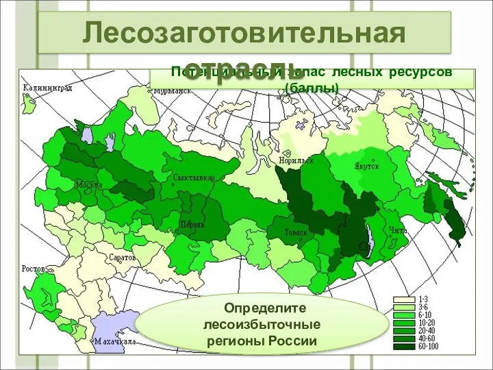 Потенциальный запас лесных ресурсов (баллы) Определите лесоизбыточные регионы России Лесозаготовительная отрасль