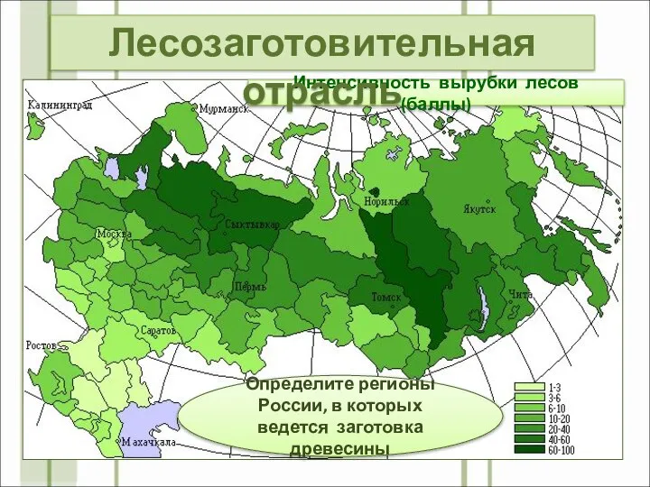 Интенсивность вырубки лесов (баллы) Определите регионы России, в которых ведется заготовка древесины Лесозаготовительная отрасль