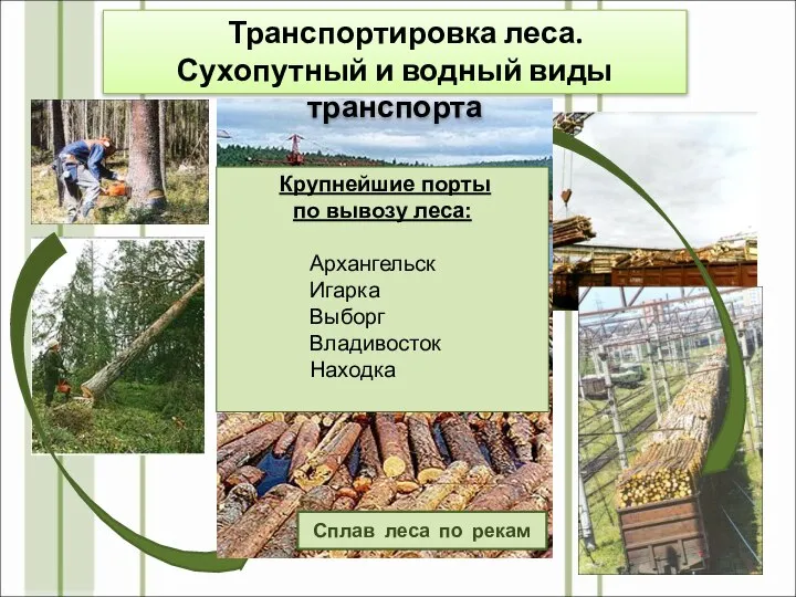 Сплав леса по рекам Транспортировка леса. Сухопутный и водный виды транспорта