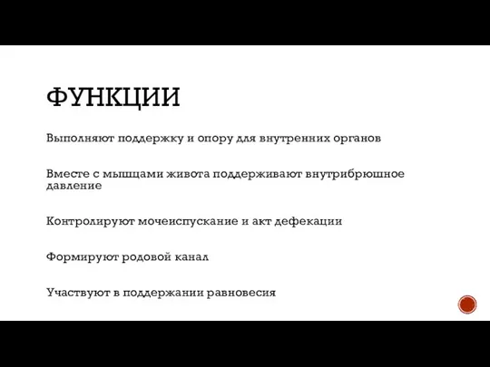 ФУНКЦИИ Выполняют поддержку и опору для внутренних органов Вместе с мышцами