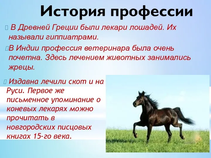 Издавна лечили скот и на Руси. Первое же письменное упоминание о