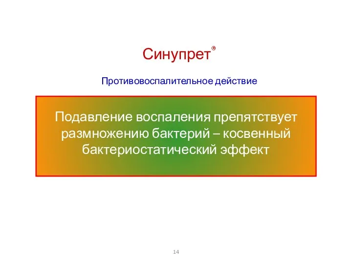 Подавление воспаления препятствует размножению бактерий – косвенный бактериостатический эффект Синупрет® Противовоспалительное действие