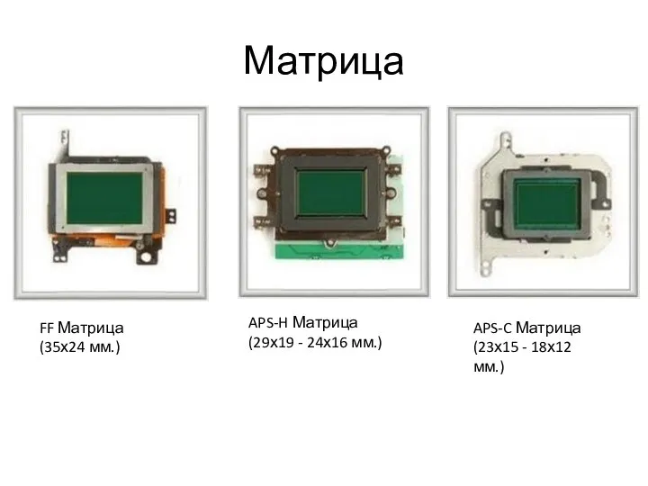 Матрица FF Матрица (35х24 мм.) APS-H Матрица (29х19 - 24х16 мм.)