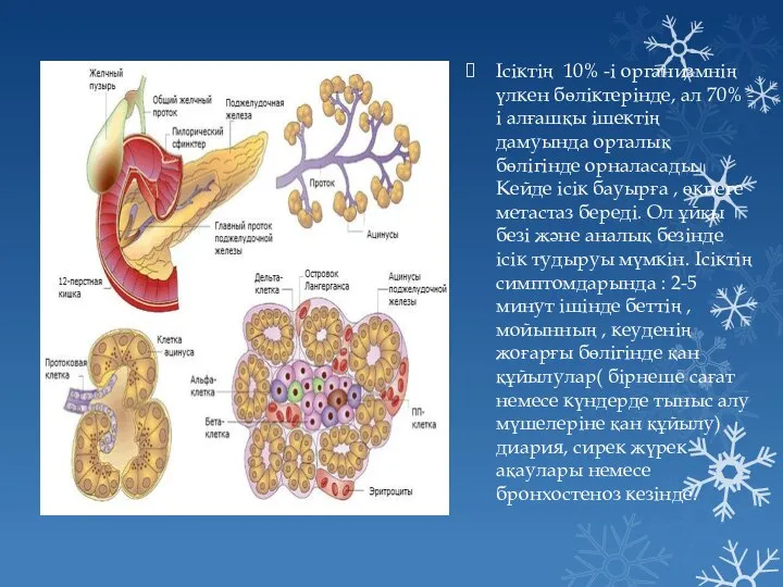 Ісіктің 10% -і организмнің үлкен бөліктерінде, ал 70% -і алғашқы ішектің