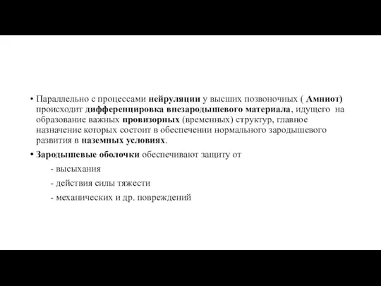 Параллельно с процессами нейруляции у высших позвоночных ( Амниот) происходит дифференцировка