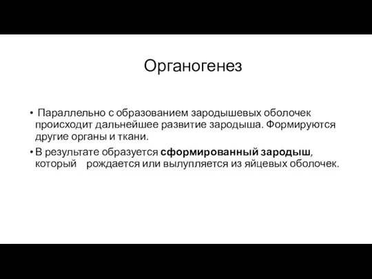 Органогенез Параллельно с образованием зародышевых оболочек происходит дальнейшее развитие зародыша. Формируются