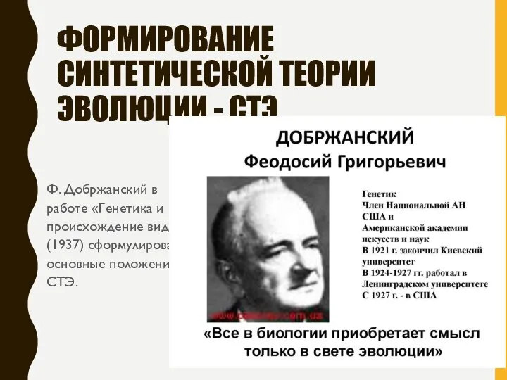 ФОРМИРОВАНИЕ СИНТЕТИЧЕСКОЙ ТЕОРИИ ЭВОЛЮЦИИ - СТЭ Ф. Добржанский в работе «Генетика