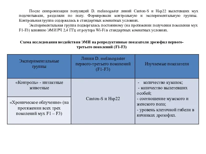 Схема исследования воздействия ЭМИ на репродуктивные показатели дрозофил первого-третьего поколений (F1-F3)