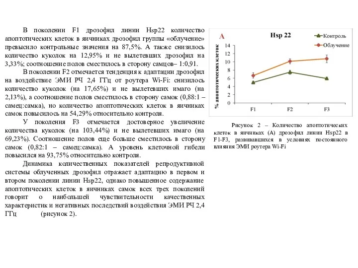 В поколении F1 дрозофил линии Hsp22 количество апоптотических клеток в яичниках