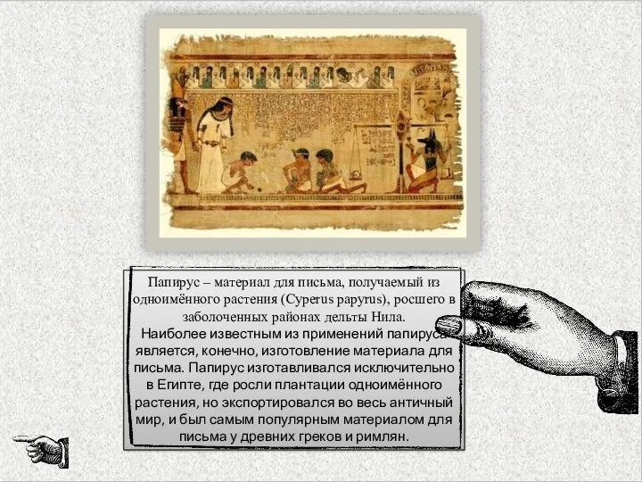 Папирус – материал для письма, получаемый из одноимённого растения (Cyperus papyrus),