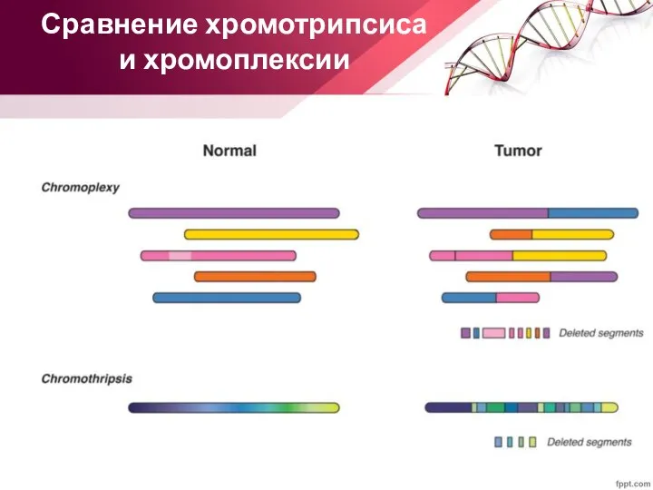 Сравнение хромотрипсиса и хромоплексии