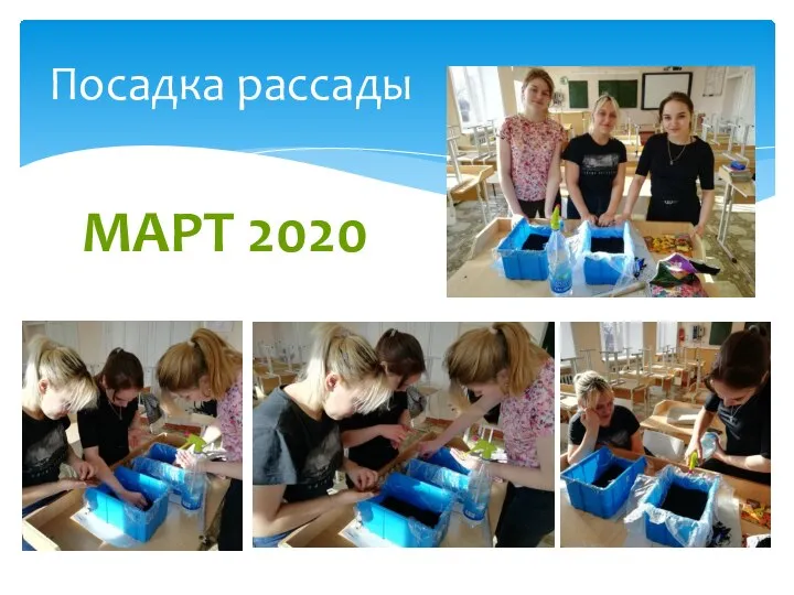 Посадка рассады МАРТ 2020