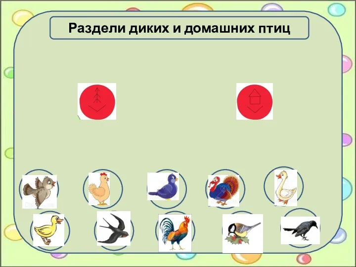 Раздели диких и домашних птиц