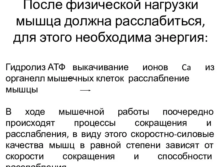 После физической нагрузки мышца должна расслабиться, для этого необходима энергия: Гидролиз