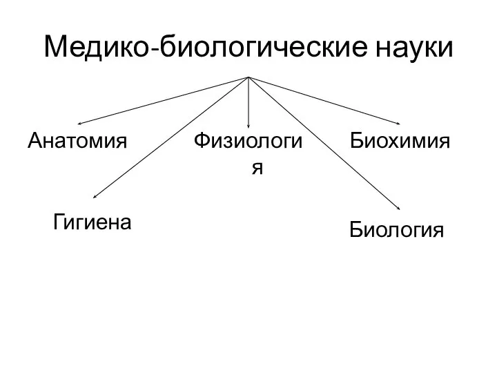 Медико-биологические науки Анатомия Физиология Биохимия Гигиена Биология