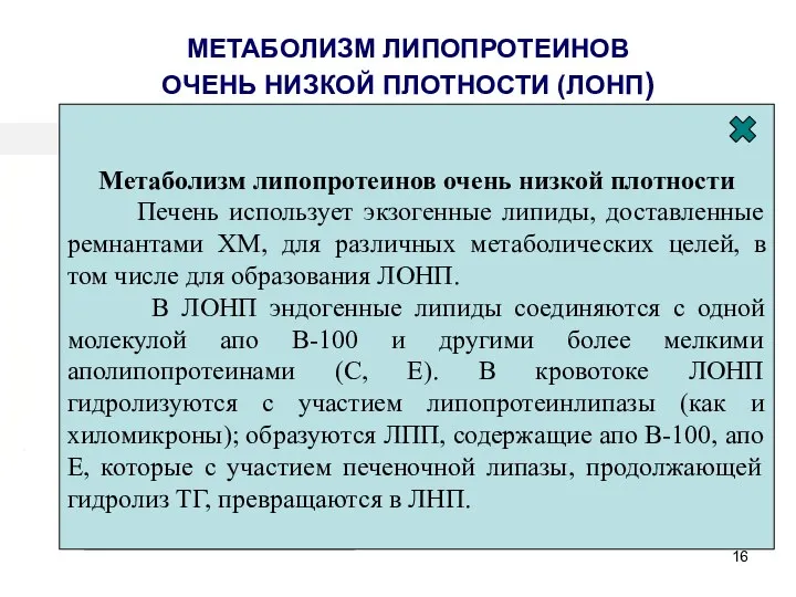 Образуются в клетках печени (гепатоцитах) Основная функция – транспорт триглицеридов и