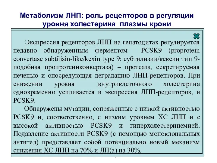 Метаболизм ЛНП: роль рецепторов в регуляции уровня холестерина плазмы крови LDL