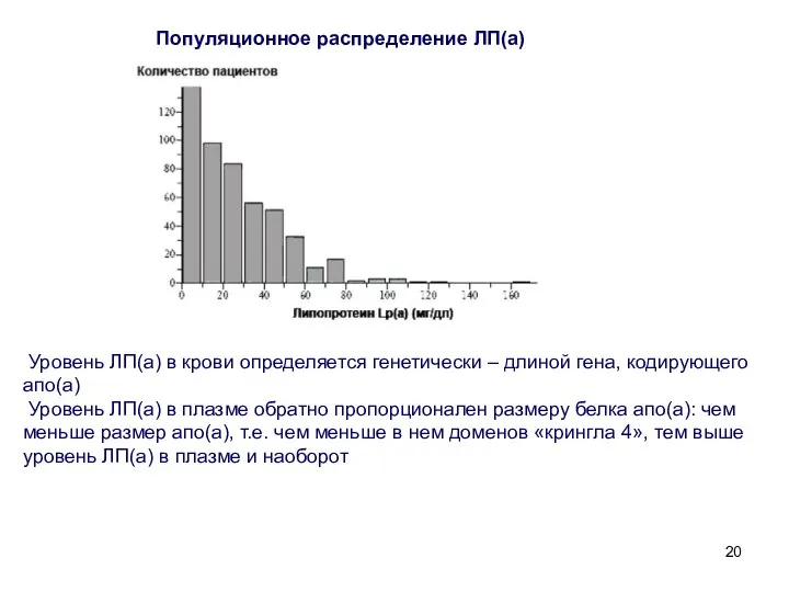 Уровень ЛП(а) в крови определяется генетически – длиной гена, кодирующего апо(а)