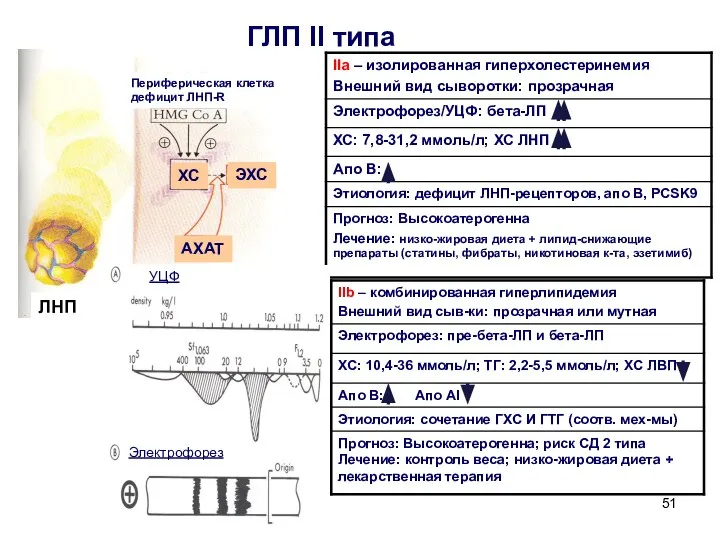 ГЛП II типа ЛНП АХАТ ЭХС ХС Периферическая клетка дефицит ЛНП-R УЦФ Электрофорез