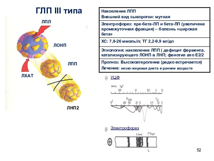 ГЛП III типа ЛОНП ЛПЛ ЛХАТ ЛПП ЛНП2 УЦФ Электрофорез