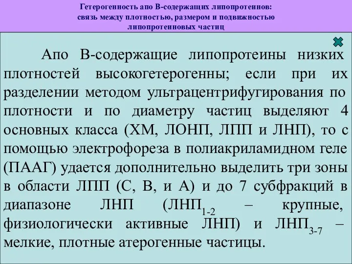 Гетерогенность апо В-содержащих липопротеинов: связь между плотностью, размером и подвижностью липопротеиновых