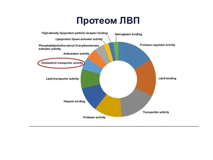 Протеом ЛВП